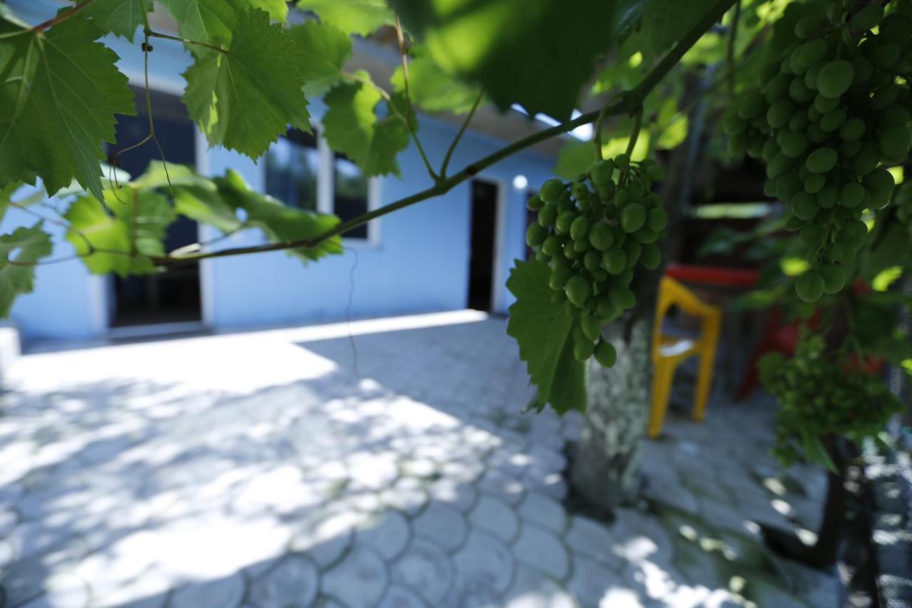 Lilia Guesthouse 시그나기 외부 사진