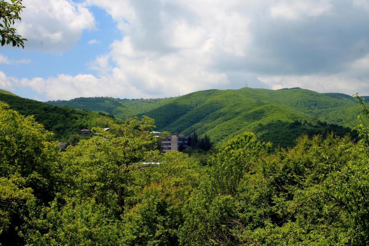Lilia Guesthouse 시그나기 외부 사진